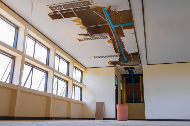 Best 24-hour water damage restoration  in Assumption, IL