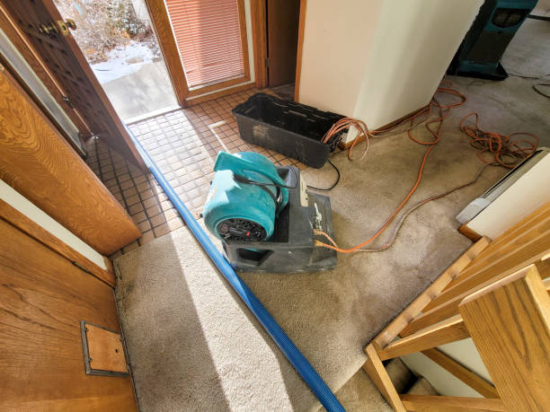 Best Local water damage restoration  in Assumption, IL