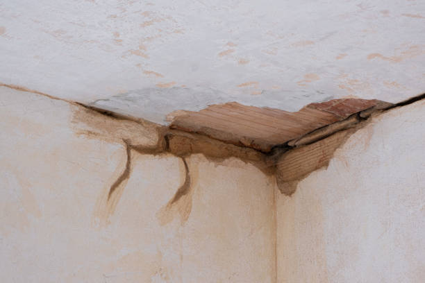 Best Emergency water damage restoration  in Assumption, IL