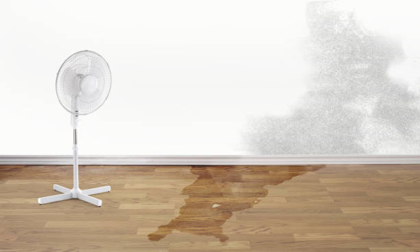 Best Fire Damage Restoration  in Assumption, IL