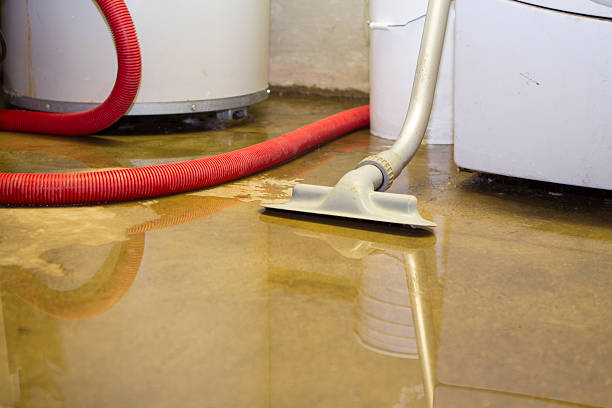 Best Carpet water damage restoration  in Assumption, IL