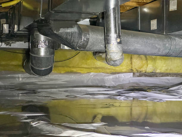 Best Ceiling water damage repair  in Assumption, IL