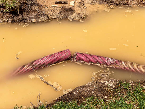 Best Water damage restoration insurance claims  in Assumption, IL